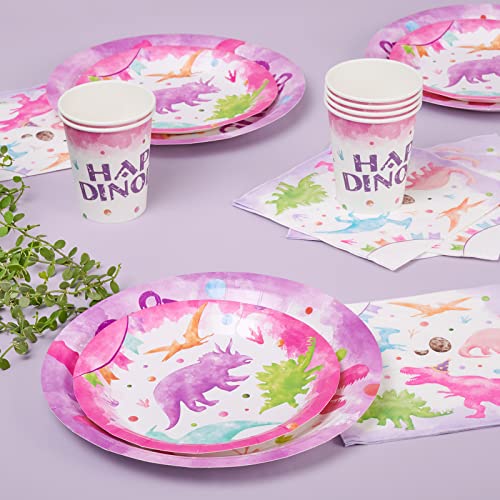 WERNNSAI Pink Dinosaur Party Tableware Set - 64 Pieces Dino Plates, Napkins, Cups for Girls Birthday