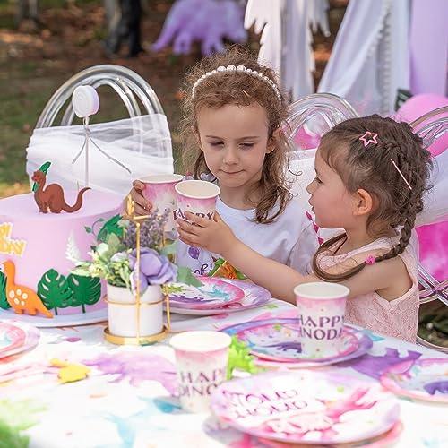 WERNNSAI Pink Dinosaur Party Tableware Set - 64 Pieces Dino Plates, Napkins, Cups for Girls Birthday
