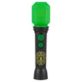 Wicked Sing Along Microphone with Built-in Music and Lights for Toddlers Ages 3+