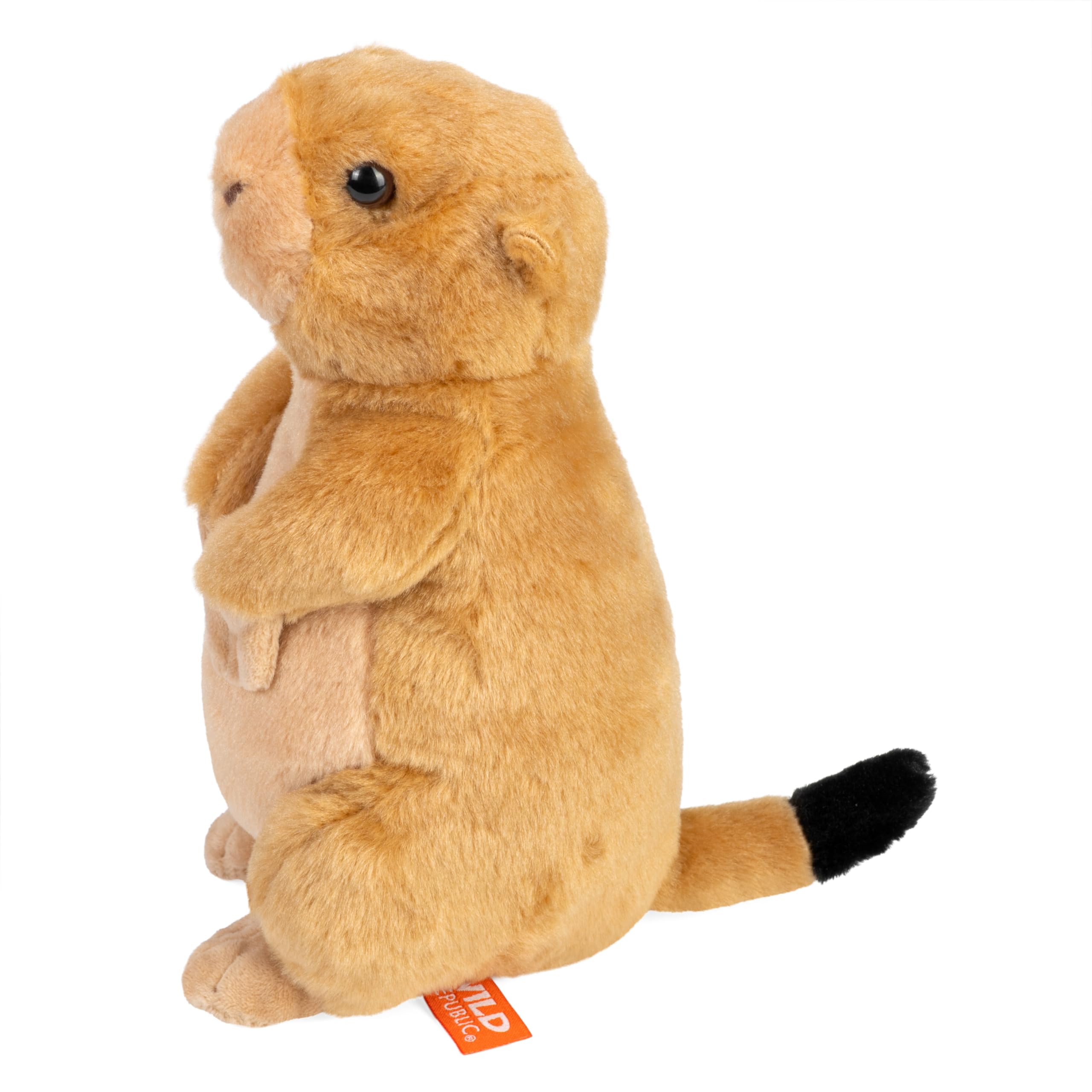 Wild Republic Cuddlekins Mini Prairie Dog Plush - 8 Inches, Eco-Friendly Fill from Recycled Bottles