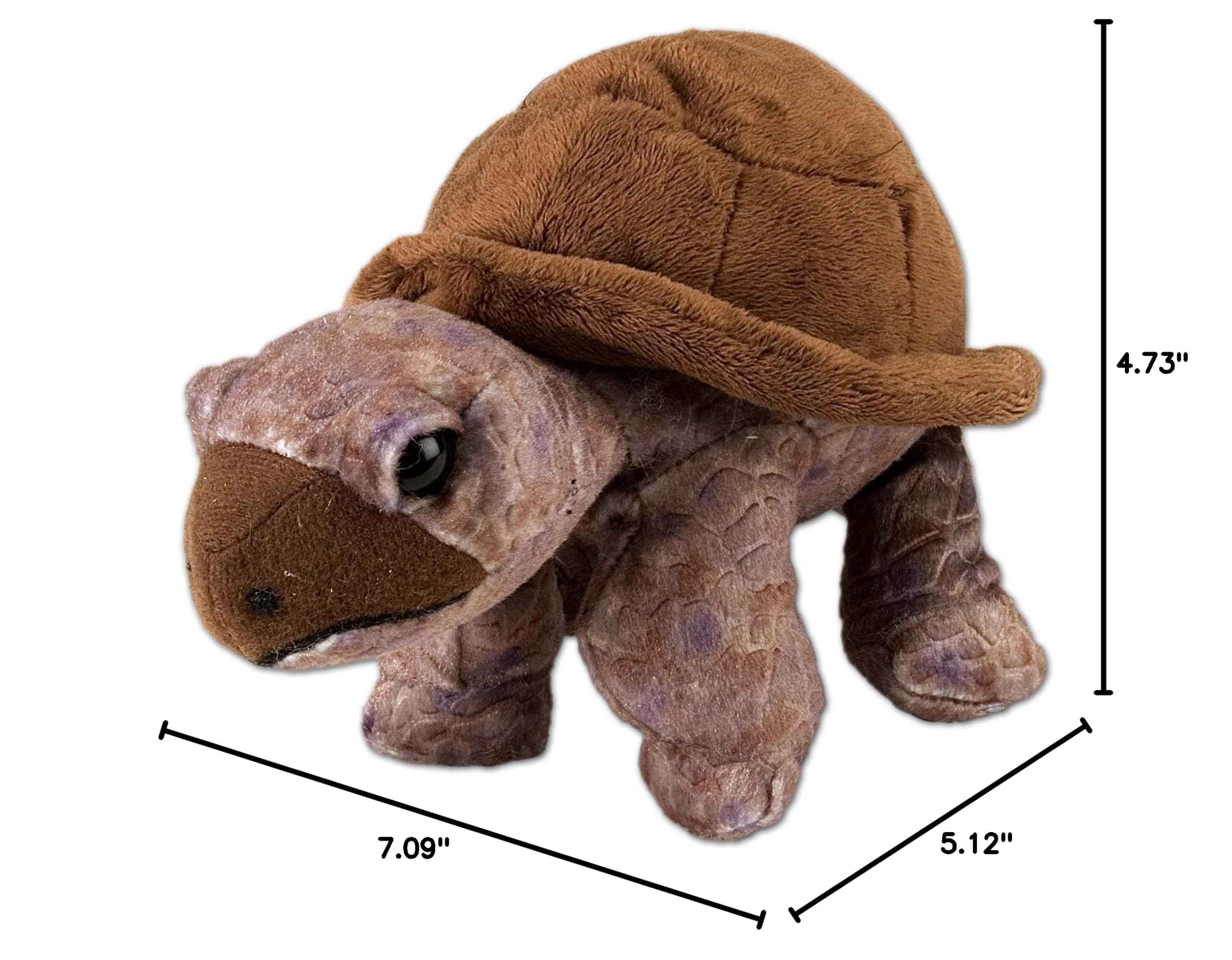Wild Republic Cuddlekins Tortoise Plush - 8 Inch Stuffed Animal Toy for Kids