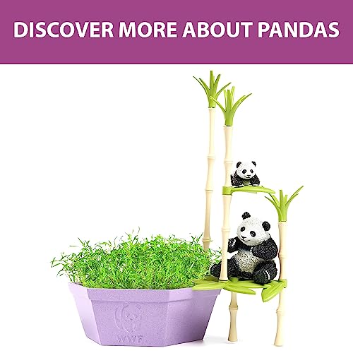 Wild Scenes Pandas' Bamboo Forest - Grow & Play Kit with Dill Seeds, Recycled Plastic Habitat Toy for Kids Ages 4+