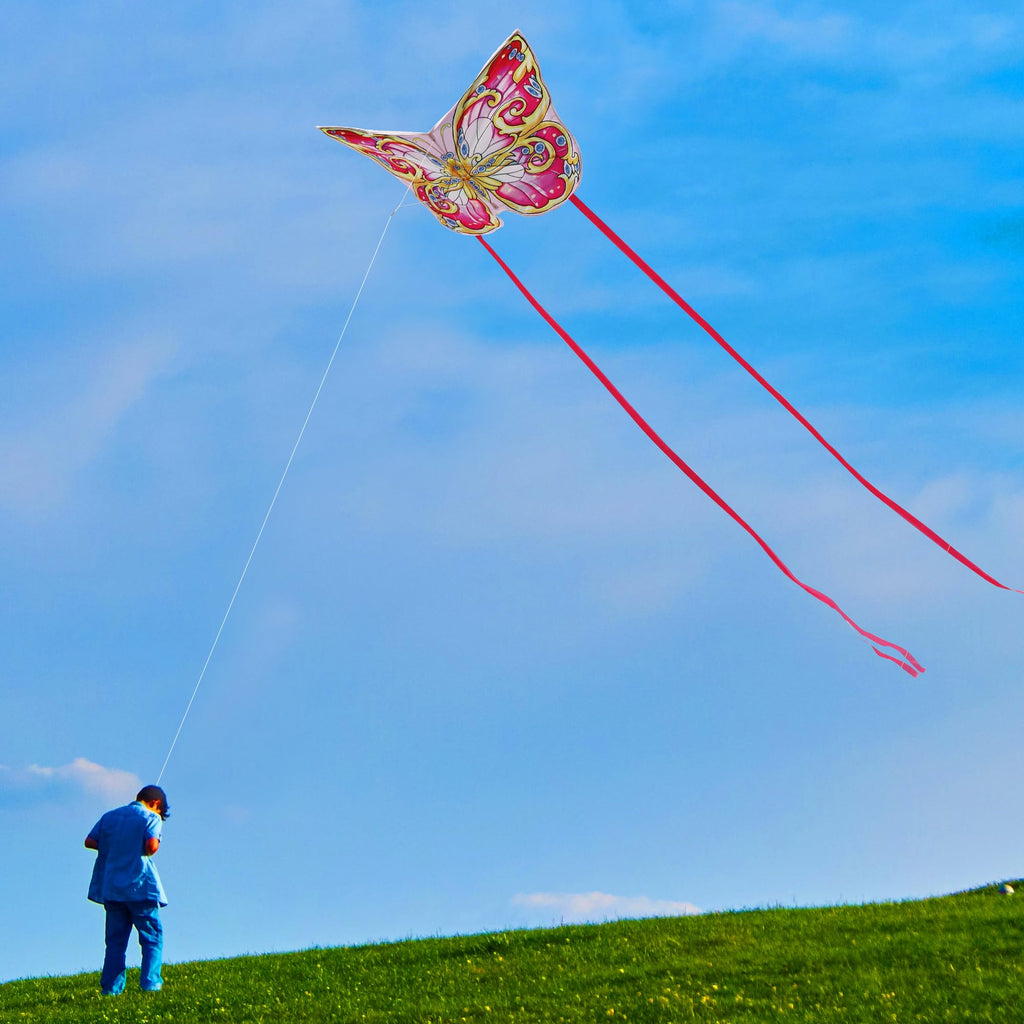 Xida Pink Butterfly Kite – Easy-to-Fly Large Kite with 300ft Handle for Kids & Adults