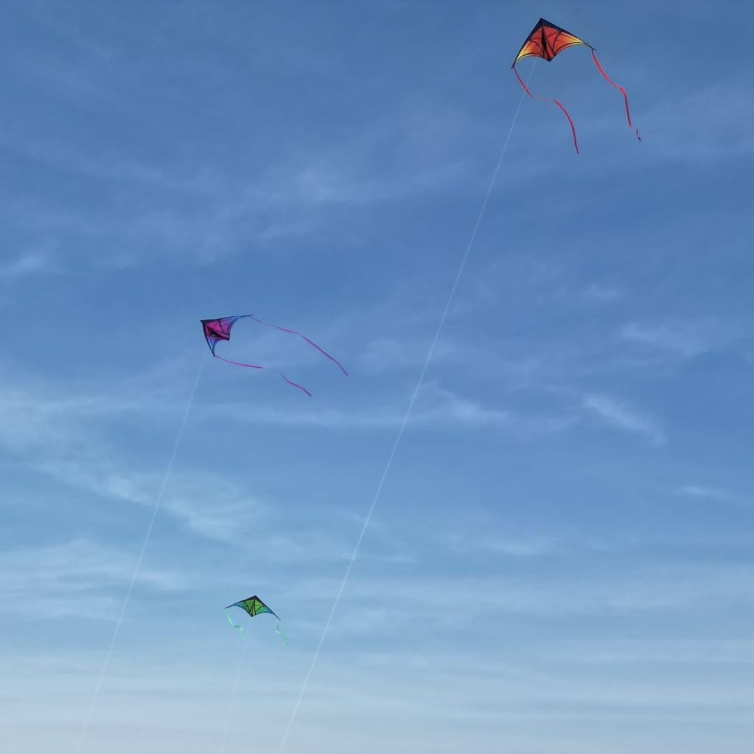 YFAFENGS Large Delta Kite Orange – Easy-to-Fly Outdoor Kite for Kids and Adults, Includes Line and Handle