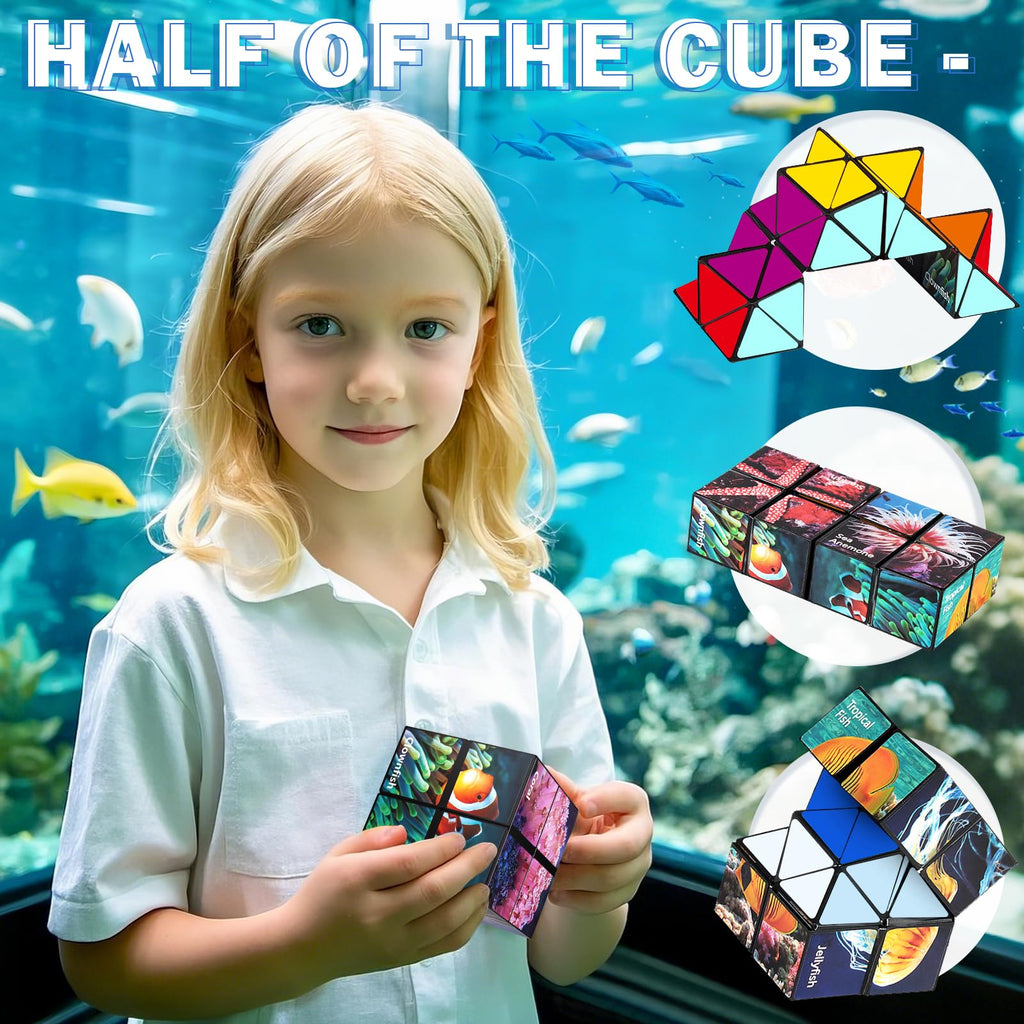 Yoshimoto Star Cube Set 2 in 1 – Magic Fidget Toy for Kids and Adults, Ages 8+