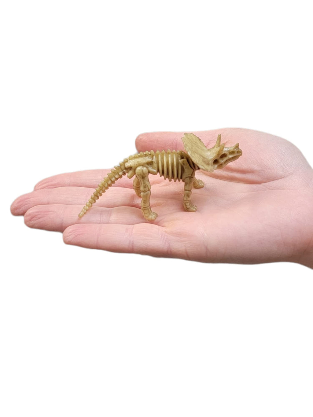 Zugar Land 12-Pack Dinosaur Fossil Skeleton Figures – 3-4 Inch PVC Dino Collection for Science Learning, Party Favors & More