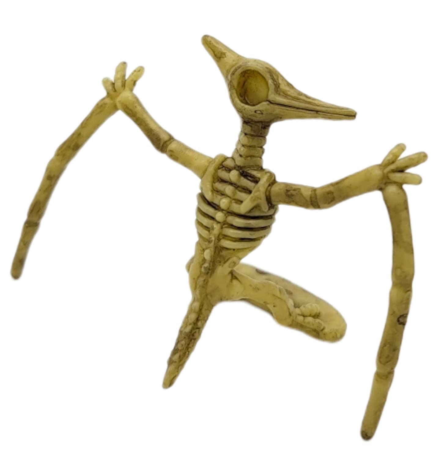 Zugar Land 12-Pack Dinosaur Fossil Skeleton Figures – 3-4 Inch PVC Dino Collection for Science Learning, Party Favors & More